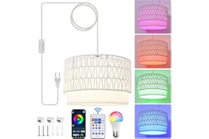 ZSLAIFU Hanging Lamp Plug in Pendant Light Hanging Lights with Plug in Cord Hanging Lamps for Living Room Bedroom Farmhouse