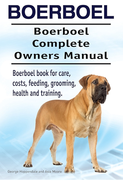 best food for boerboel puppies