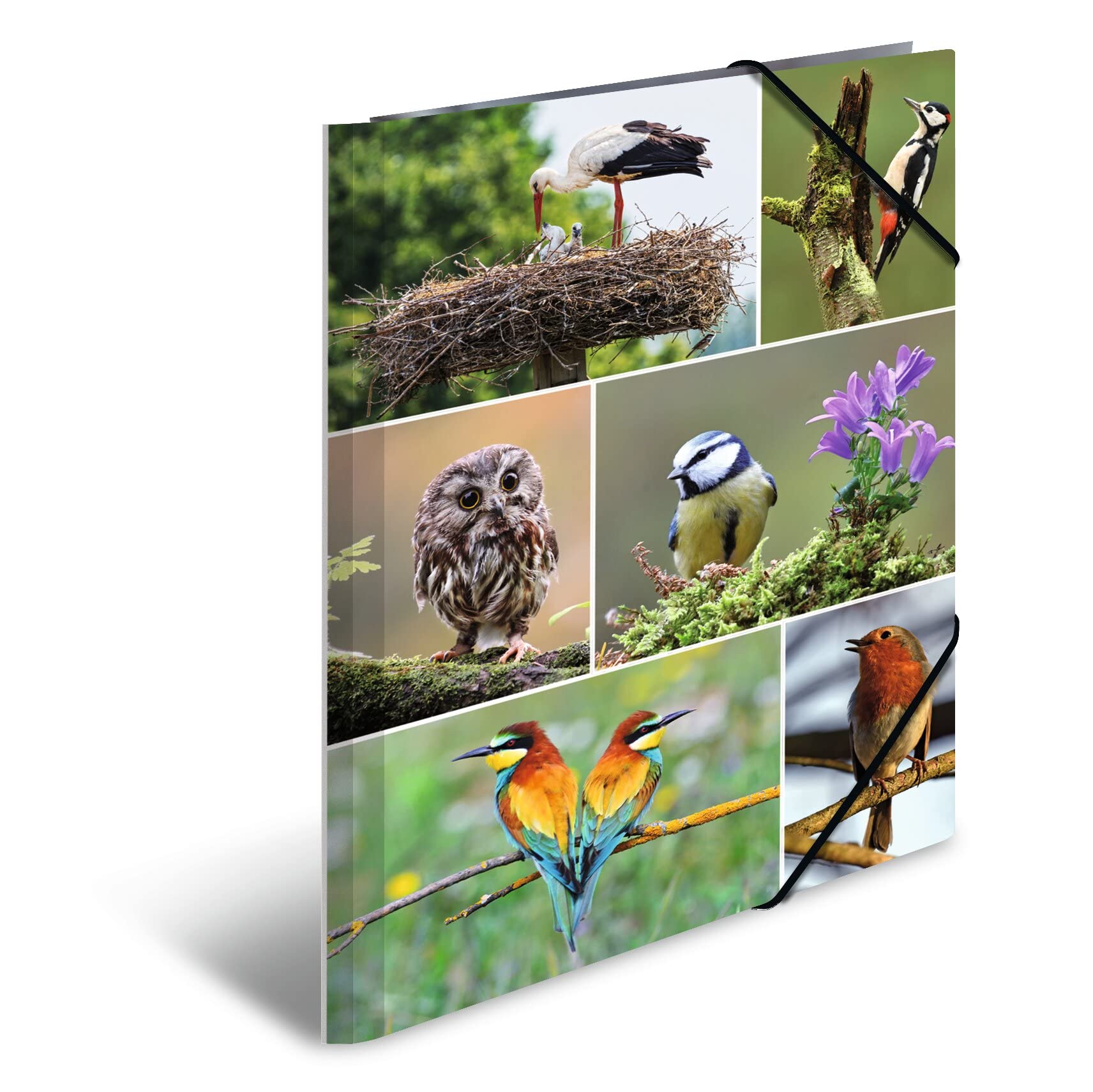HERMA Portfolio Folders A4 Birds Set of 3 Children's Cardboard Corner Folder with Animal Motif, Elastic Band, Inner Flaps and Inner Print for Boys and Girls