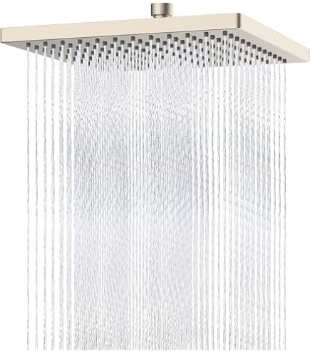 hansgrohe Raindance E 12-inch Showerhead -Spray in Brushed Nickel