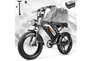 Tamobyke V20 3.0 Electric Bike for Adults,750W/1500W Motor,48V15Ah/30Ah Removable Battery Ebike, 100 Miles Max Range, Dual Disc/Hydraulic Brakes, 27-28mph Top Speed,Steering Light. UL Certified.