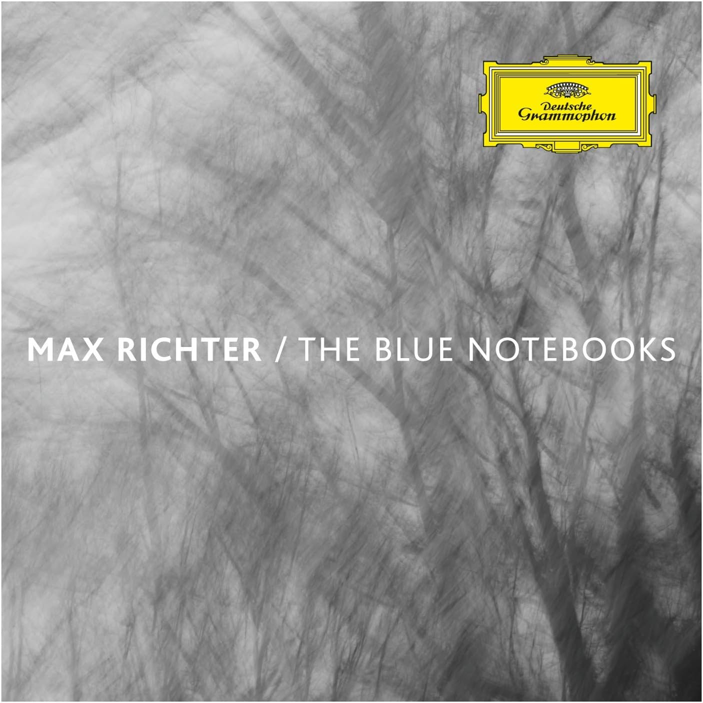 Blue Notebooks SHM track
