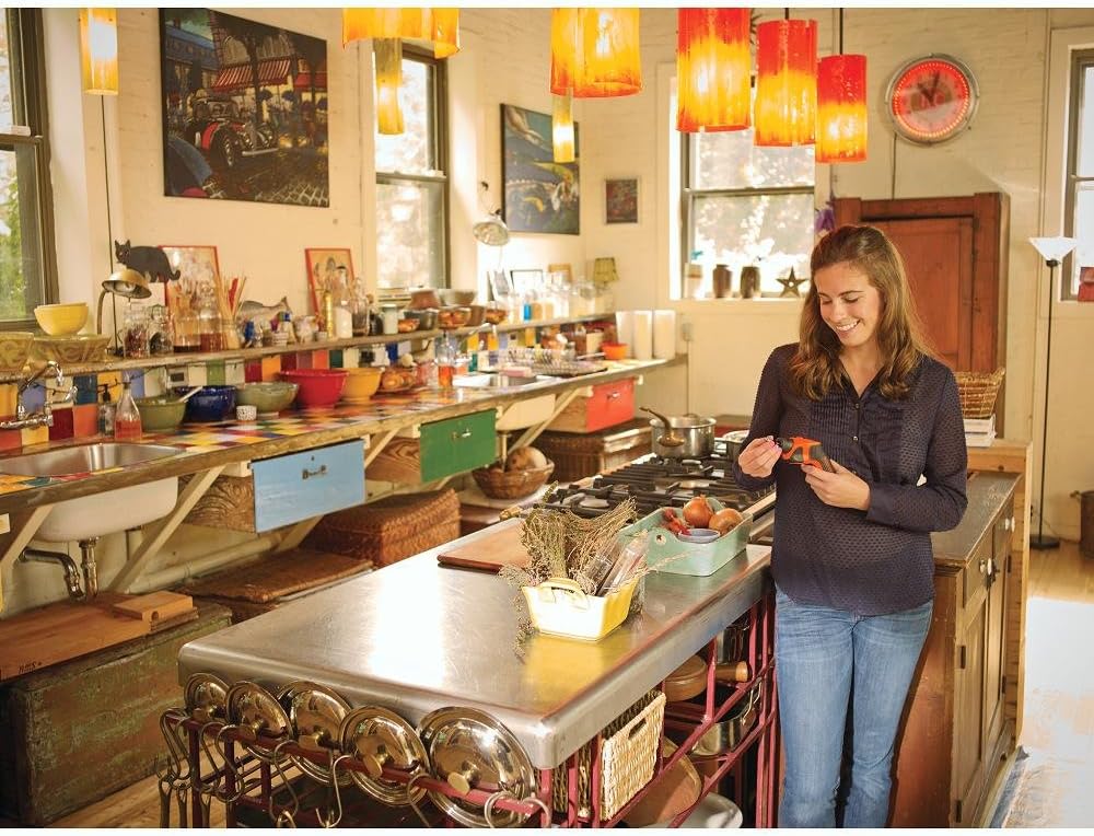 BLACK+DECKER 4V MAX Cordless Screwdriver (BDCS20C): Home Improvement