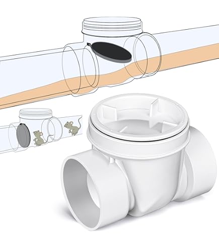 Amazon.com: Canplas Backwater Valve, 2-Inch : Industrial & Scientific