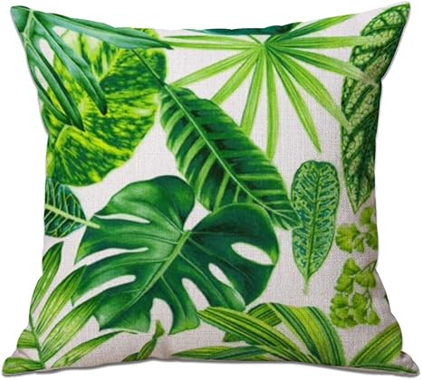 amazon pillows for sofa