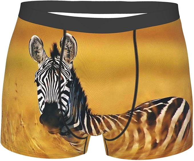 Mens Boxer Briefs Wild Zebra Underwear Breathable Boxer