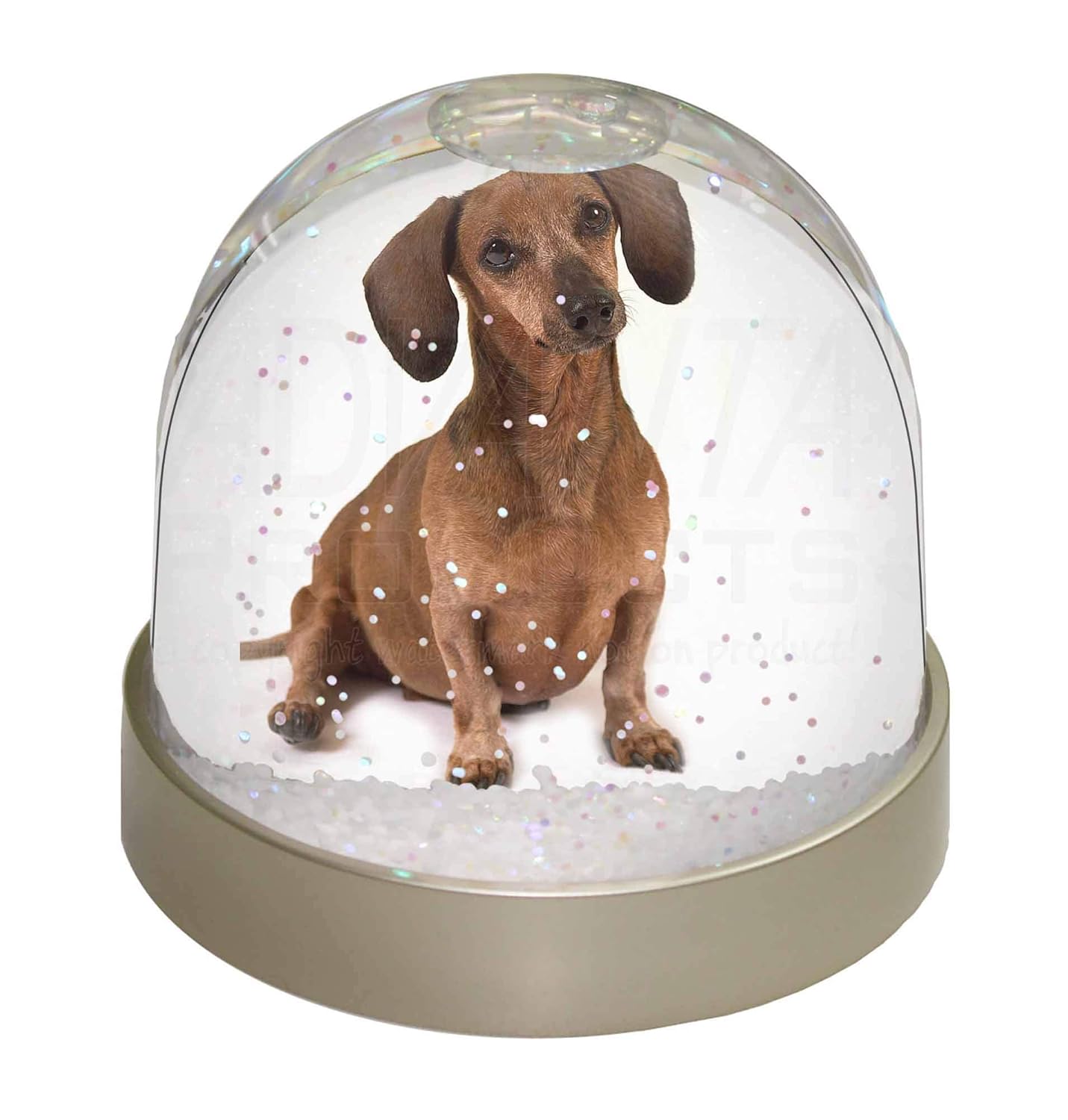 Advanta Group Cute Dachshund Dog Snow Dome Globe Waterball Gift, Multi