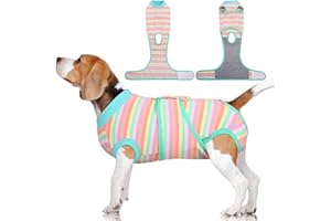 FUAMEY Recovery Suit for Dogs After Surgery,Soft Breathable Dog Bodysuit E-Collar & Cone Alternative Surgical Suit,Male Female Dog Neuter Spay Suits Anti Licking Wounds Onesie Mint Green Stripes XL