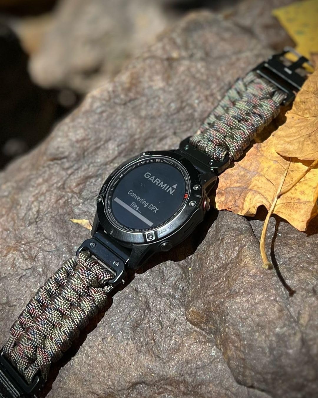 View 2