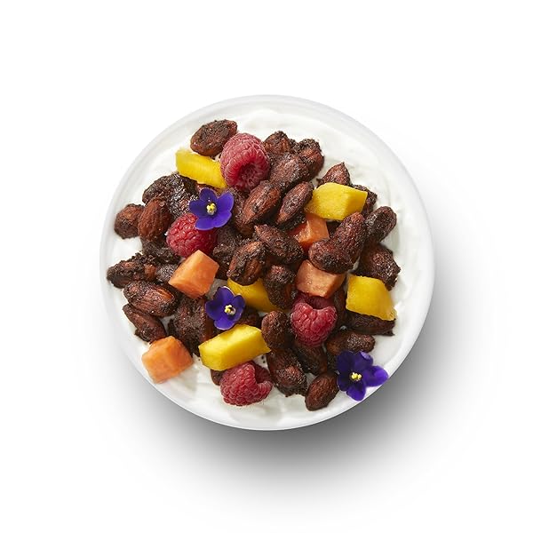 TGB CHOCOLATE ALMONDS | 1G NET CARB KETO SNACK | GLUTEN FREE LOW CARB CANDY NUTS, 10 OUNCES