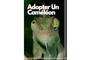 Adopter Un Caméléon: La maintenance et l'élevage des caméléons en captivité (French Edition)