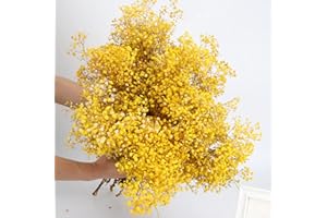 beerfingo Dried-Flowers-Babys-Breath-Bouquet 17.2 inches 2500+ Flowers, Natural Gypsophila, Dry Flowers Bulk for Vase Home Decor, Wedding, Table Decor, DIY Wreath Floral(Yellow)