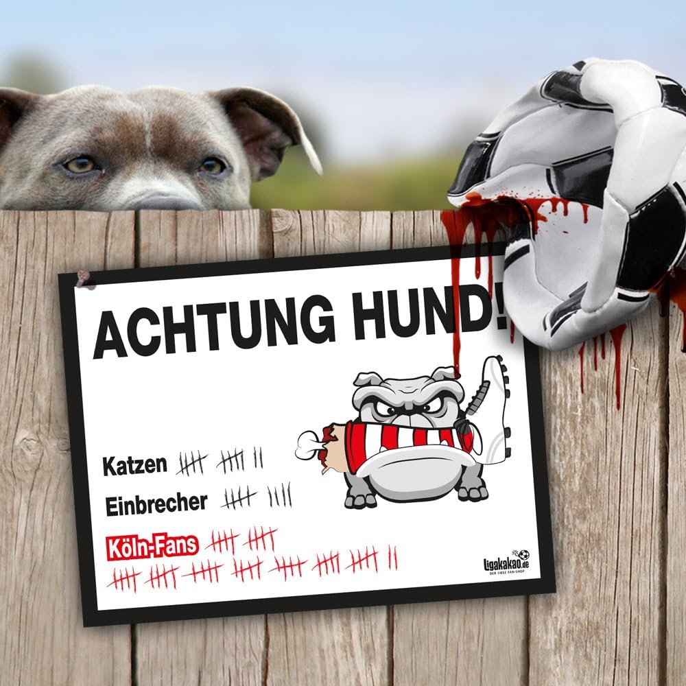 Hunde Warnschild Schutz Vor Koln Fans Fortuna Dusseldorf Borussia M Gladbach Alle Fussball Fans Dieser Revier Markierer Schutzt Haus Hof Vor Koln Fans Achtung Vorsicht Hund Bissig Amazon De Sport Freizeit