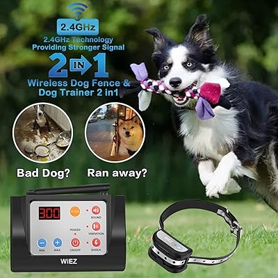 2-in-1 Wireless Dog Fence with Remote Adjustable Zambia Ubuy