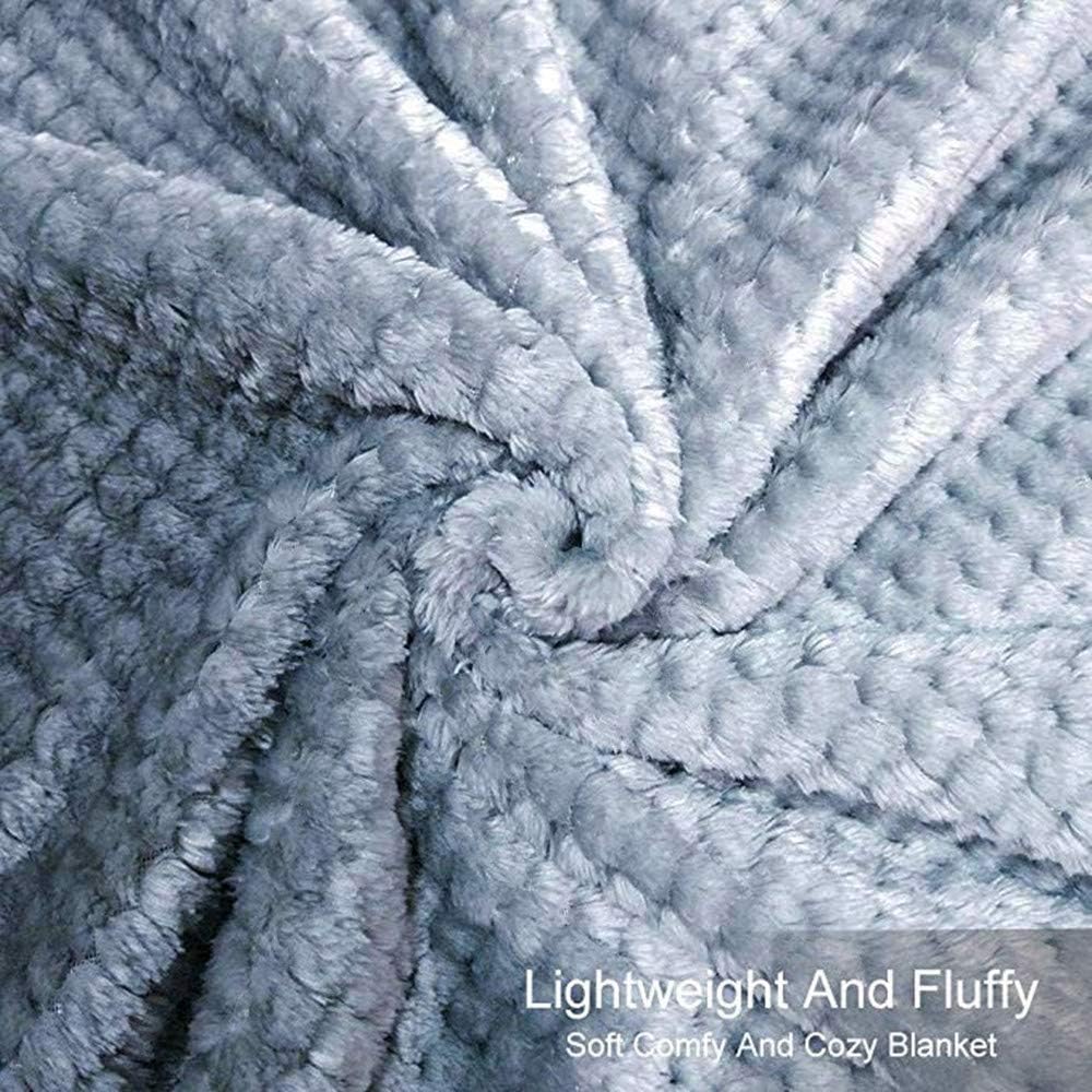 U UQUI Soft Full Size Fleece Bed Summer Blanket 300 GSM Warm Cozy Microfiber Fuzzy Lightweight All Season Blankets for Couch Travel Sofa,Blue 70x78 inches: Home & Kitchen