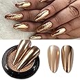 Holographic Mirror Nail Powders Chrome Gold Effect Pure Metallic Dust Sequins UV Gel Nail Chrome Pigment for Nail Art Decoration (Champagne)