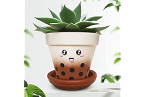 VITA ELEGANTE Boba Design Cute Planters - Small Plant Pot with Drainage & Saucer - Funny Plant Pots - 4 Inch Small Planter Flower Pot for Indoor, Outdoor, Office & House Plants - Brown Cute Plant Pots