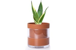 Phoenix Vine 6 Inch Self Watering Planter Pot, Terracotta Clay Pot with Glass Reservoir for Indoor Plants, Herbs, Flowers, Set of 1, 52-A-F-1