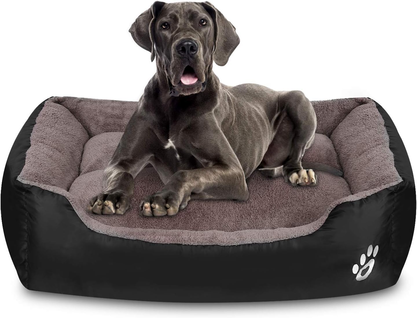 most comfortable dog bed