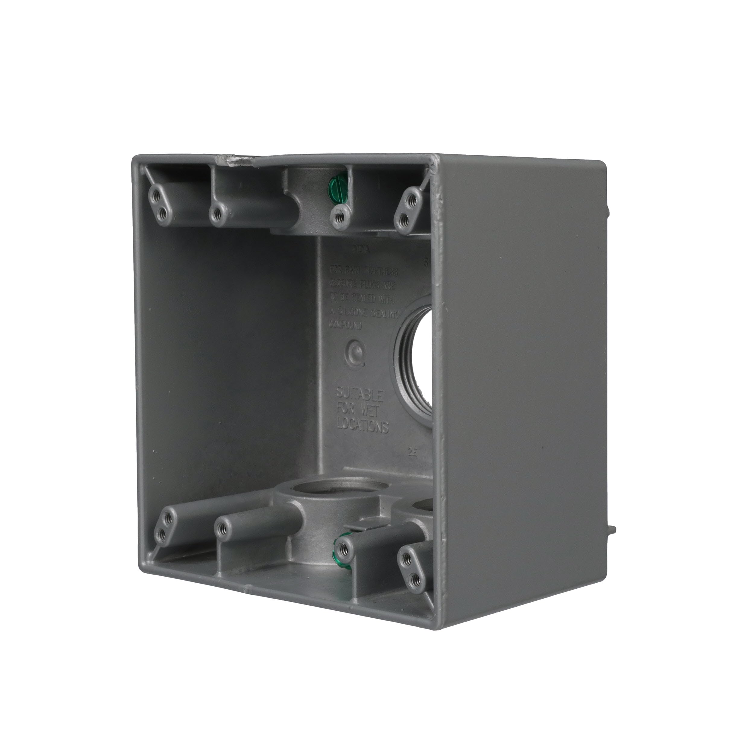 Photo 1 of 2-Gang Weatherproof Deep Box, Five 1 in. Threaded Outlets, Gray (5389-0)