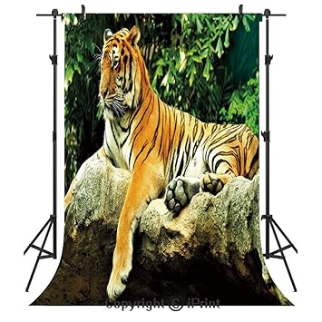 Amazon Com Tiger Photography Backdrops Resting Feline In The