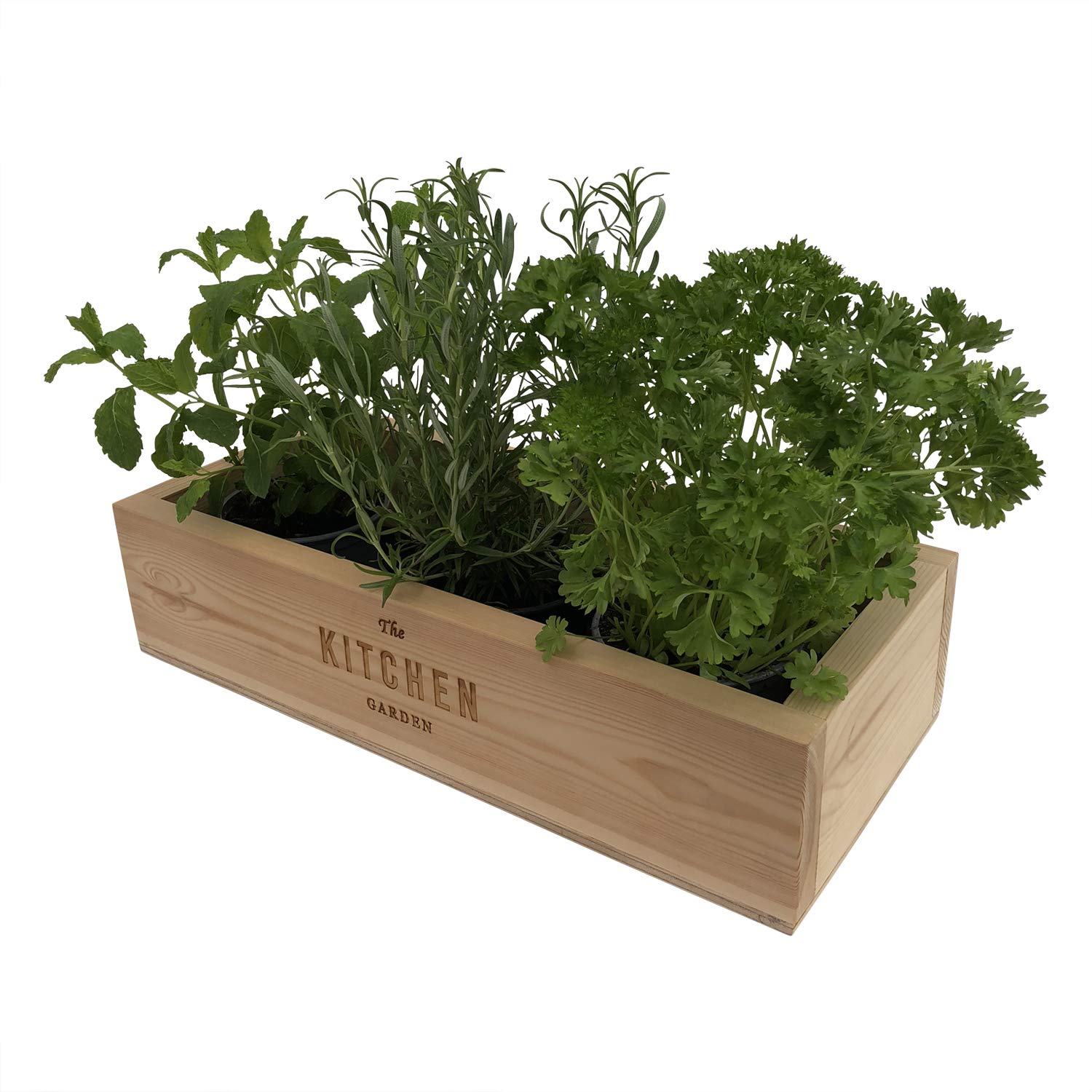 The Designers Treat Kitchen Herb Garden Indoor Window Seed Planter