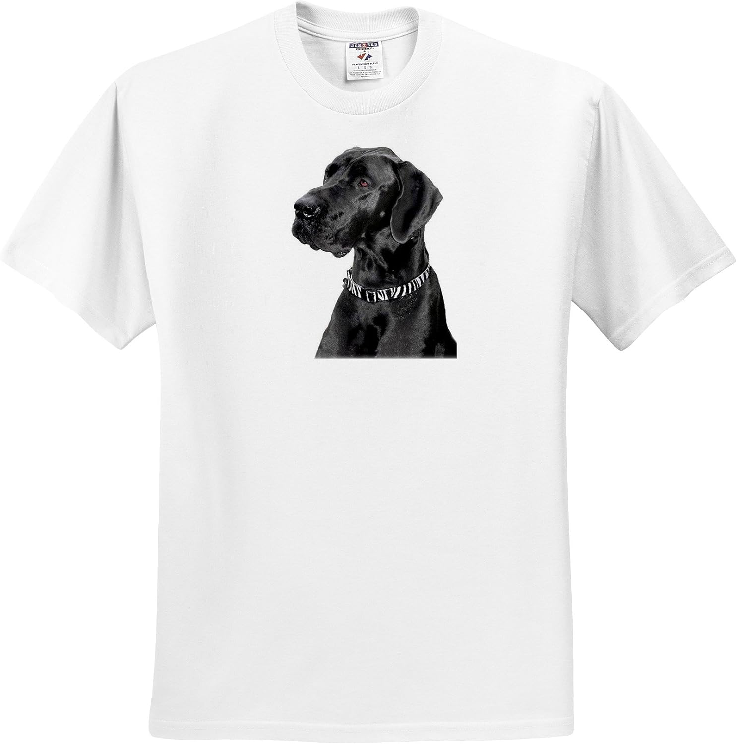 Dogs Great Dane Black Great Dane TShirts Youth T
