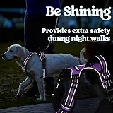 rabbitgoo Dog Harness Medium Adjustable No Pull Reflective Purple M view 9