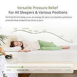 EGOHOME Twin Size Memory Foam Mattress, 10 Inch Bed