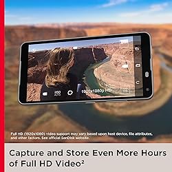 SanDisk 1TB Ultra microSDXC UHS-I Memory Card with