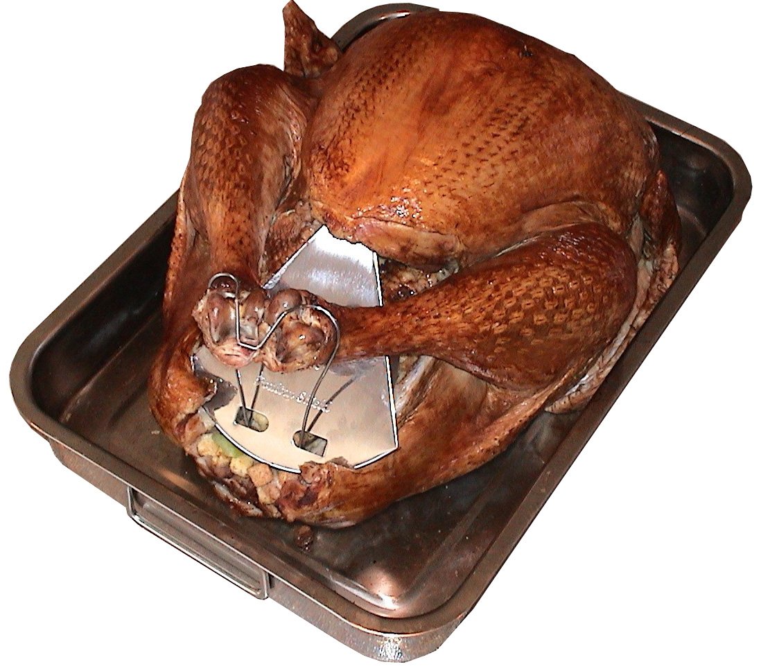 Which Is The Best Oven Bag For 30Lb Turkey