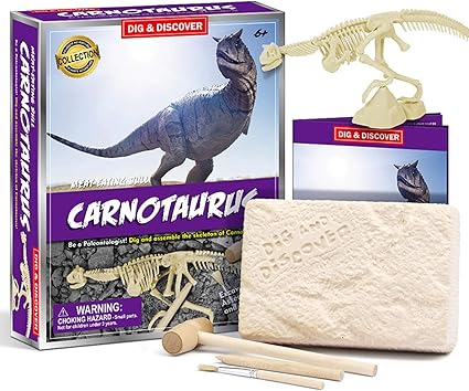 dinosaur excavation kit diy