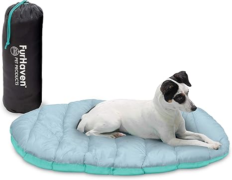 Charlie Chow Dog Beds Mobilibianco It