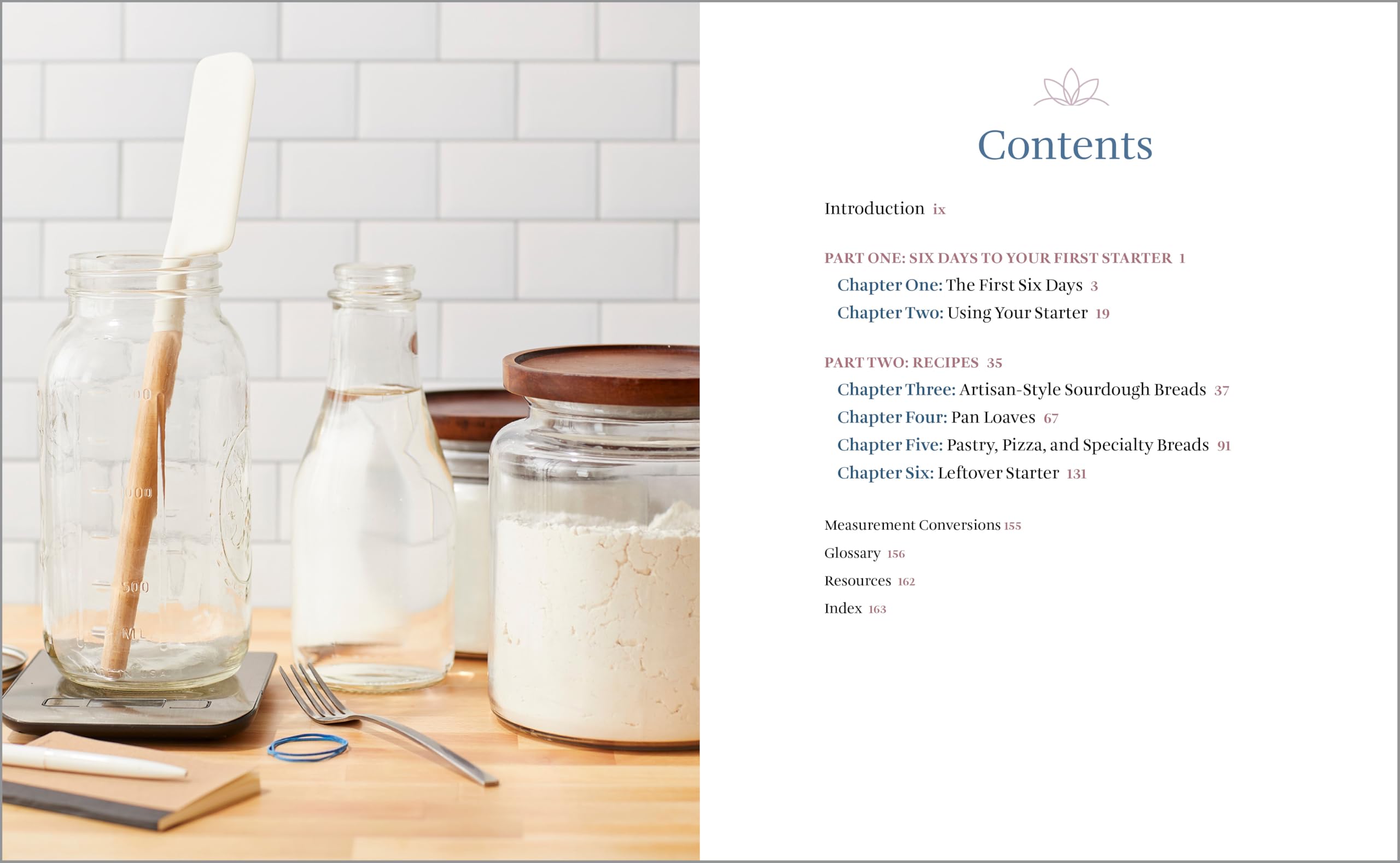 Sourdough Cookbook for Beginners: A Step-by-Step Introduction to Make Your Own Fermented Breads