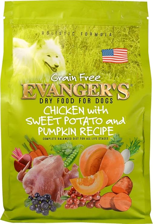 plastic dog kennel sizes