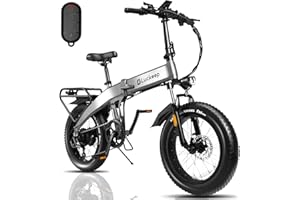 LUCKEEP Electric Bike for Adults 1130W Peak Motor 48V 15AH Battery 30MPH 60 Miles Folding Electric Bike 20 Inch Fat Tire Ebike Foldable Ebikes for Adults Electric Bicycle with Cruise Control Anti-Theft Alarm