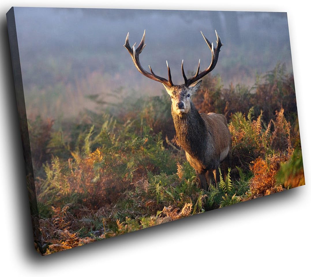 Large A587FF Framed Canvas Print - Modern Wall Art - HD Quality Picture - 100% Guaranteed - Stag Deer Scouting In Savanna - Living & Bedroom Home Décor with Easy Hang Guide - 120cm x 80cm - WOYW