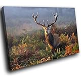 Large A587FF Framed Canvas Print - Modern Wall Art - HD Quality Picture - 100% Guaranteed - Stag Deer Scouting In Savanna - Living & Bedroom Home Décor with Easy Hang Guide - 120cm x 80cm - WOYW