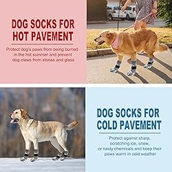 EXPAWLORER Anti Slip Dog Socks to Prevent Licking