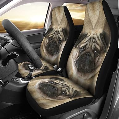 will spaying my border collie calm her down