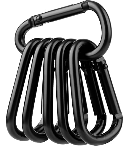Amazon.com: 2 Inch Extra Small Carabiner Key Chain - Black