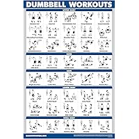 Palace Learning Dumbbell Workout Exercise Poster - Free Weight Body Building Guide | Home Gym Chart - LAMINATED, 18" x 24"