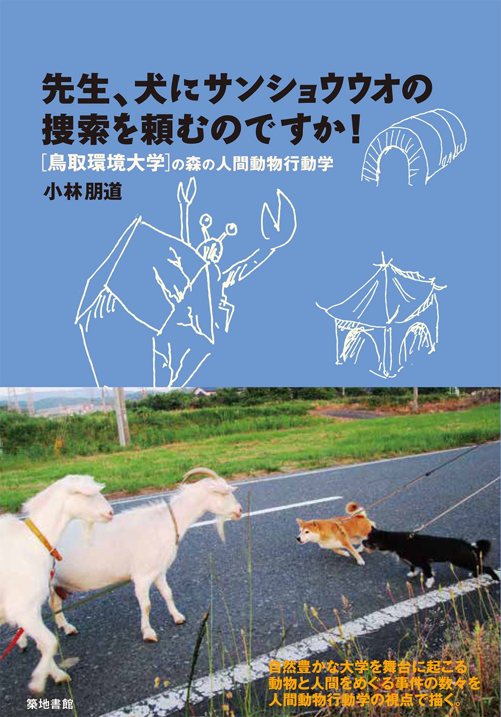 先生 犬にサンショウウオの捜索を頼むのですか 鳥取環境大学の森の人間動物行動学 小林 朋道 本 通販 Amazon