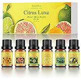 Citrus Essential Oils Set for Diffuser - 6x10ml Aromatherapy Oils Including Bergamot, Lemon, Grapefruit, Lime, Lemongrass, and Citrus Bloom - Essential Oils for Diffuser Use at Home or Office