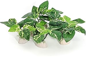 Vtapliea 6PCS Aquarium Plants Betta Fish Tank Decorations Small Size Soft Faux Silk Aquarium for Hiding Fish Reptil