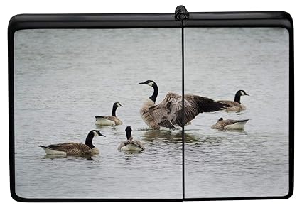 canada goose amazon uk