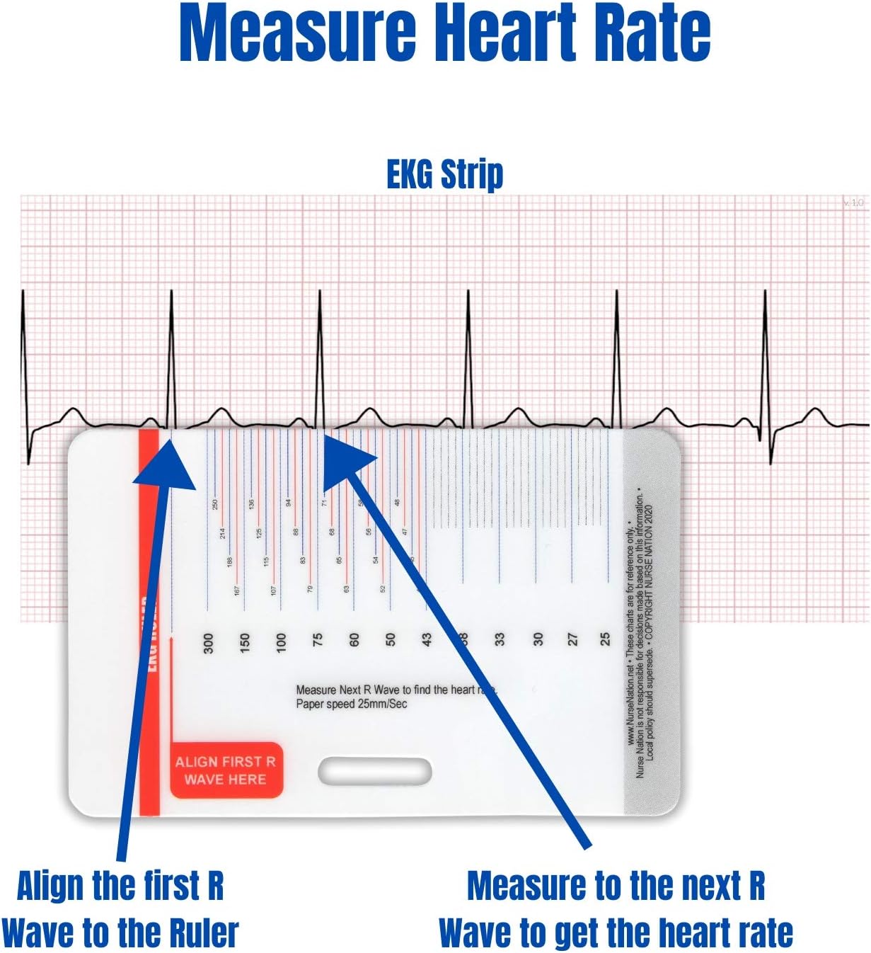 common cardiac findings 12 lead ekg placement stemi leads electrocardiogram rhythm interpretations ekg horizontal badge 6 card set ecg telemetry cards with ekg ruler bonus cheat sheets human resources forms identification badges
