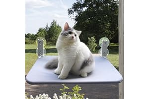 Yaning Cat Window Perch, Foldable Cat Window Hammock with Strong Suction Cups, Cordless Cat Window Seat Bed for Indoor Cats (Grey, Medium)