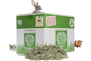 Small Pet Select 2nd Cutting Perfect Blend Timothy Hay Pet Food for Rabbits, Guinea Pigs, Chinchillas and Other Small Animals, Premium Natural Hay Grown in The US, 20 LB
