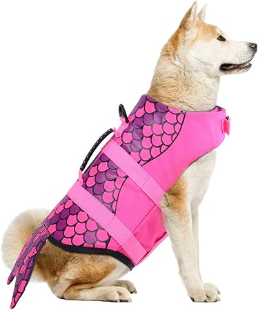 swimsuit for small dogs